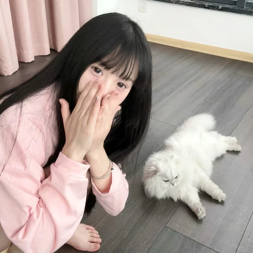狗日子